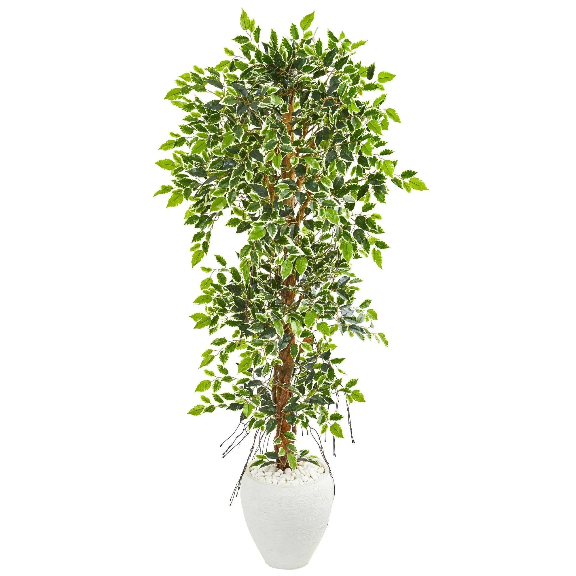 5.5’ Elegant Ficus Artificial Tree in White Planter