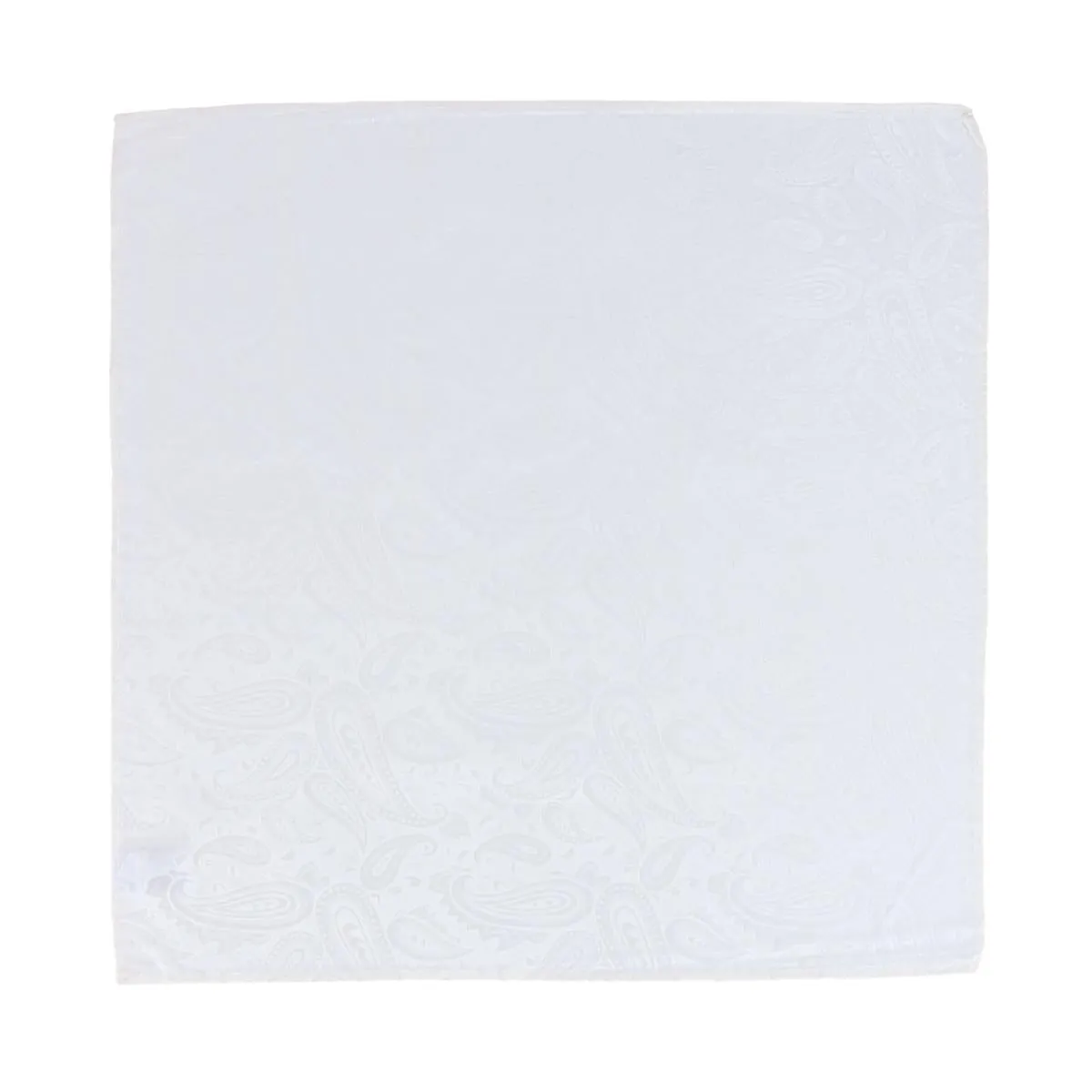 Banbury Tone on Tone Paisley 12 Inch Silk Pocket Square