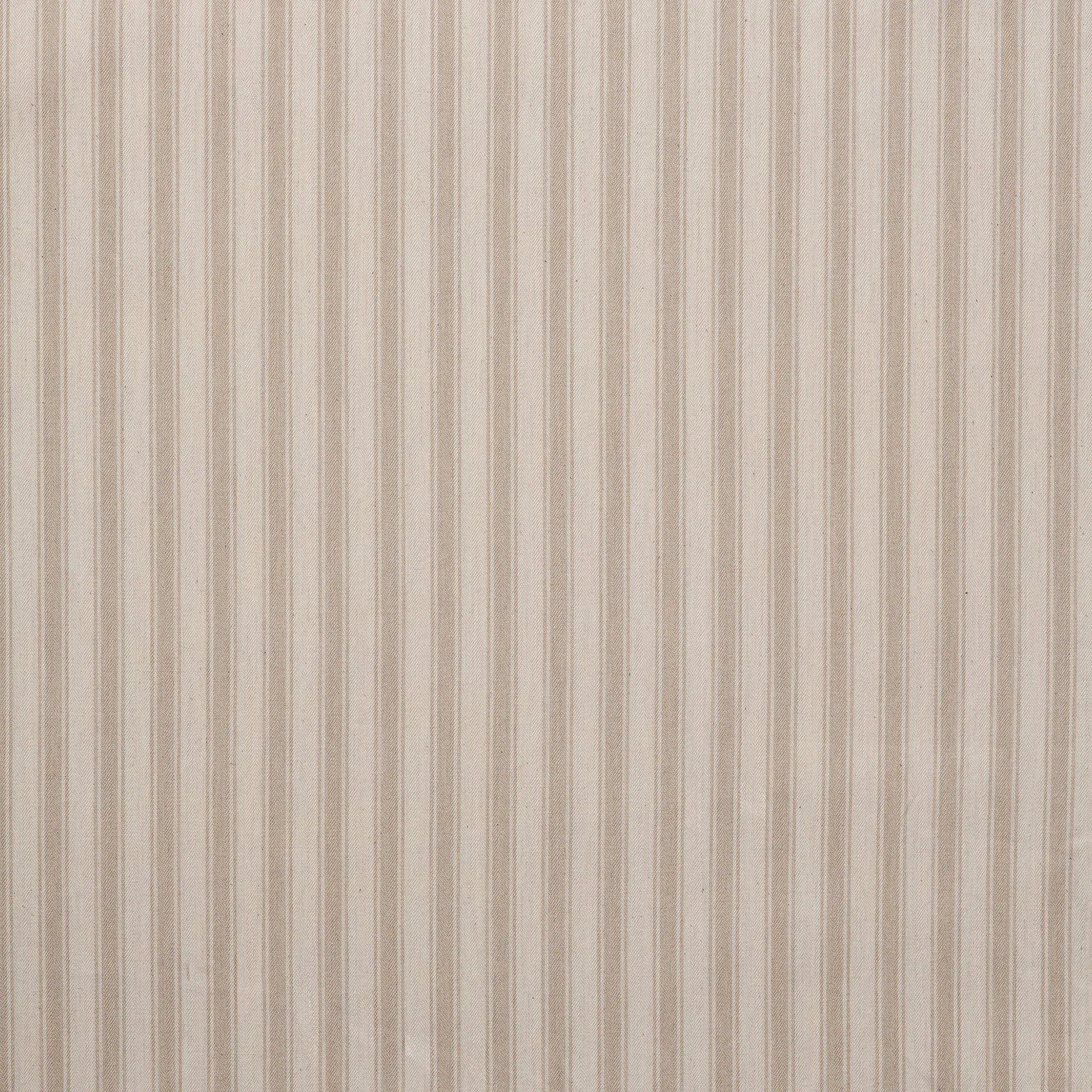 Blind Tick Organic Cotton Natural